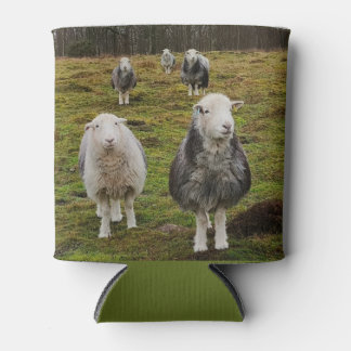 Ewe do you can cooler