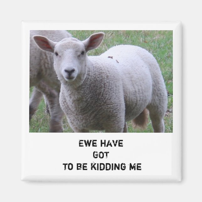 Ewe have got to be kidding me magnet (Front)