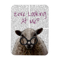 Ewe Looking at Me DeNiro Sheep 2