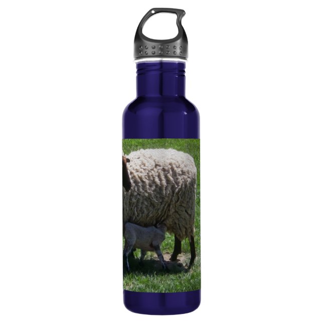 Ewe with Lamb 710 Ml Water Bottle (Front)