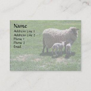 Ewe with Twins Business Card
