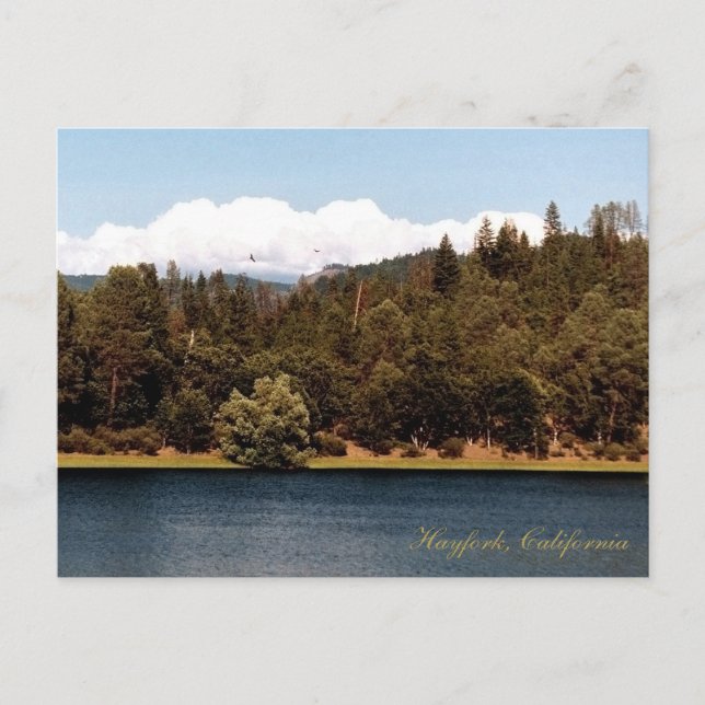 Ewing Reservoir in the Spring.... Postcard (Front)