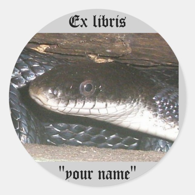Ex Libris Black Snake Stickers to Customise (Front)