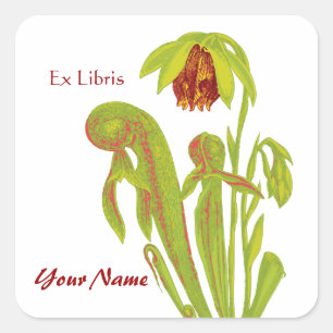 Ex Libris Pitcher Plant Book Stickers