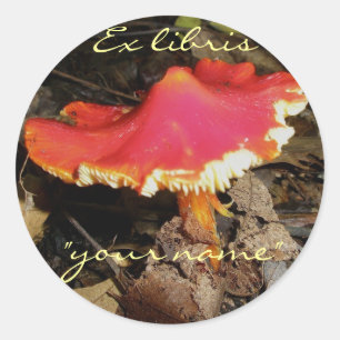 Ex Libris Red Mushroom Stickers to Customise