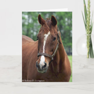 Exactly So Portrait Card