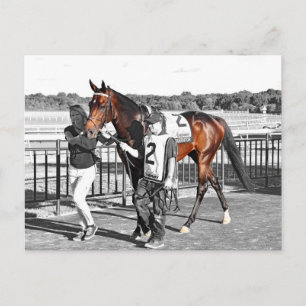 Exaggerator Postcard