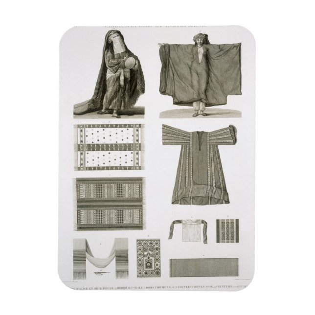 Examples of Silk and Egyptian Costumes, from 'Desc Magnet (Vertical)