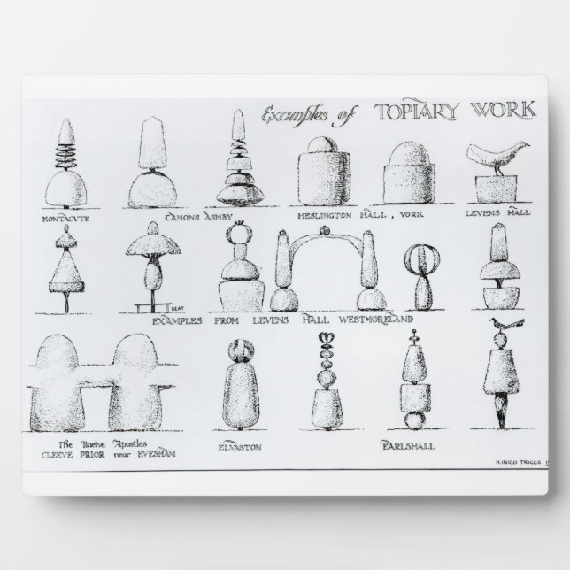 Examples of Topiary Work, 1902 (engraving) (b/w ph Plaque (Front)