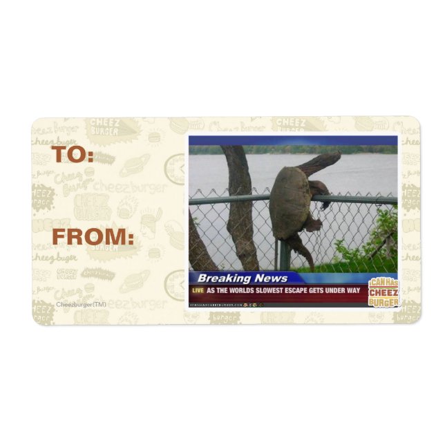 Excaping Turtle (Front)