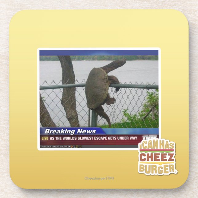 Excaping Turtle Coaster (Front)