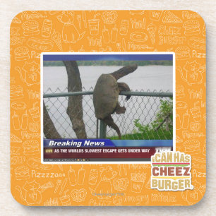 Excaping Turtle Coaster