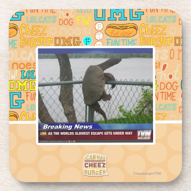 Excaping Turtle Coaster (Front)