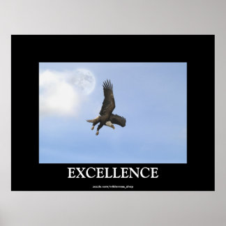 Excellence Bald Eagle Motivational Poster