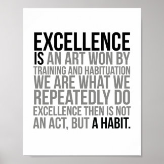 Excellence Is An Art Won By Training Poster
