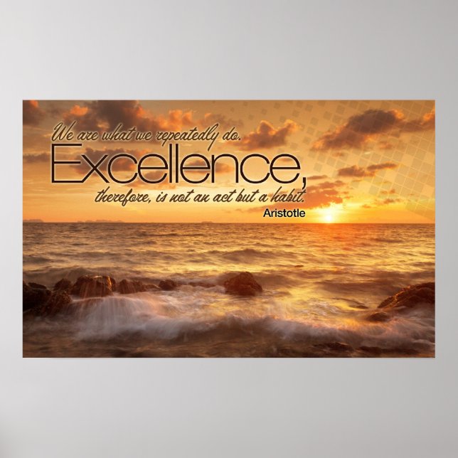 Excellence is Habit Inspirational Poster Print (Front)