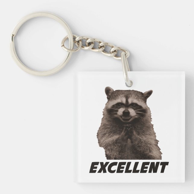Excellent Evil Plotting Racoon Key Ring (Front)