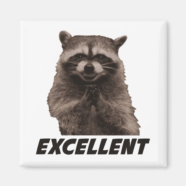Excellent Evil Plotting Racoon Magnet (Front)