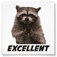 Excellent Evil Plotting Racoon