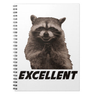 Excellent Evil Plotting Racoon Spiral Notebook