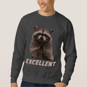 Excellent Evil Plotting Racoon Sweatshirt