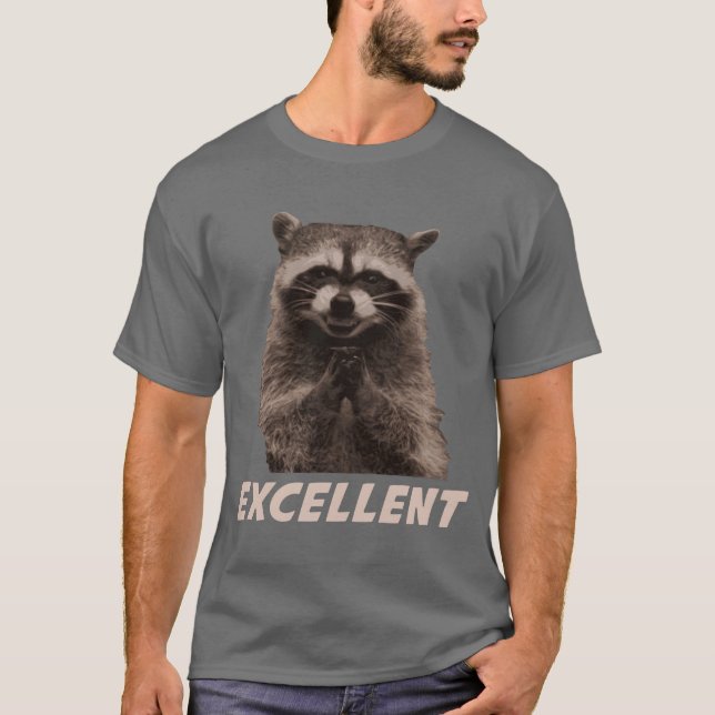 Excellent Evil Plotting Racoon T-Shirt (Front)