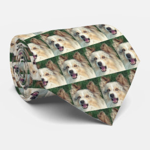 Exceptionally Beautiful Dog Tie