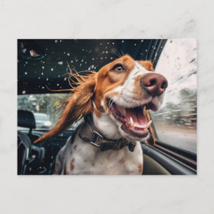 Excited Dog on Rainy Car Ride Art Print Postcard
