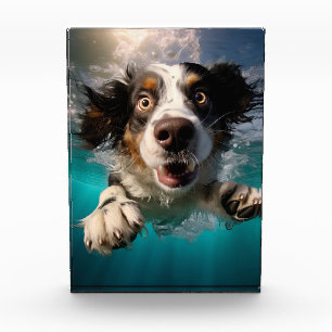 Excited Dog Swimming Underwater Design Photo Block