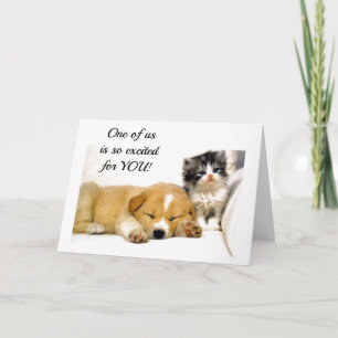 ***EXCITED KITTEN*** for YOU GET DRIVER'S LICENSE Card