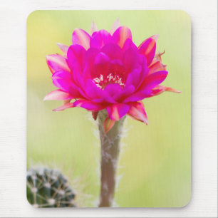 Exciting Antimatter Cactus Bloom Mouse Pad
