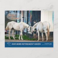 Exciting Bucket & Bel's Starlet postcard