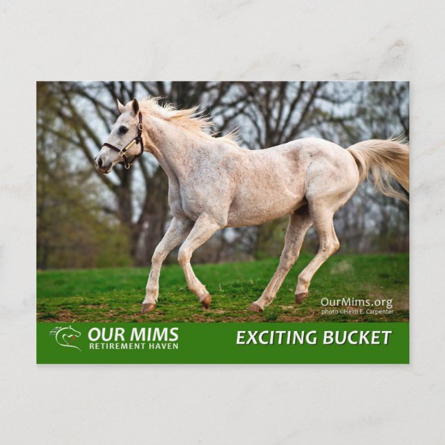 Exciting Bucket postcard (Front)