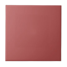 Excitingly Red Square Kitchen and Bathroom