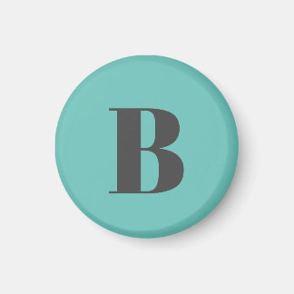 Exclusive Light Teal Grey Monogram Initial Letter Magnet