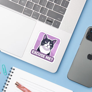 Excuse Me? Cat Meme – Sassy Funny Cat Illustration