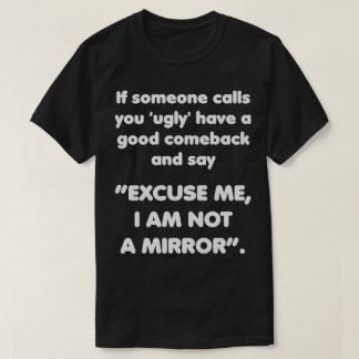 Excuse Me, I am Not a Mirror. Good Comeback Funny T-Shirt