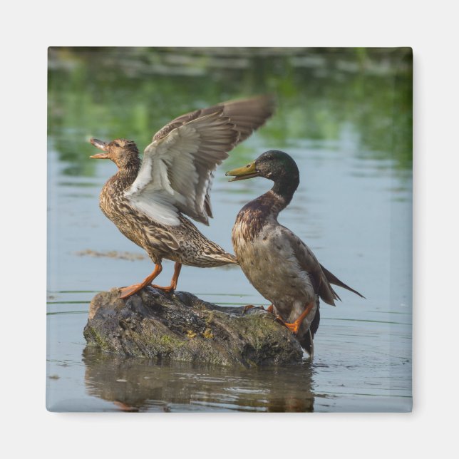 Excuse Me Magnet (Front)