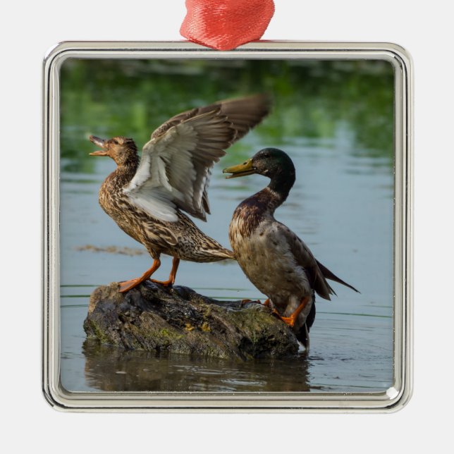 Excuse Me Metal Tree Decoration (Front)