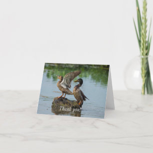 Excuse Me Thank You Card