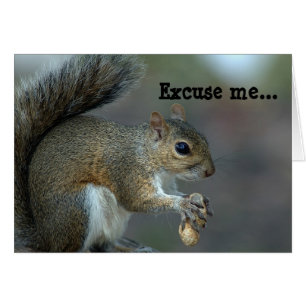 Excuse me ...The feeder is EMPTY!