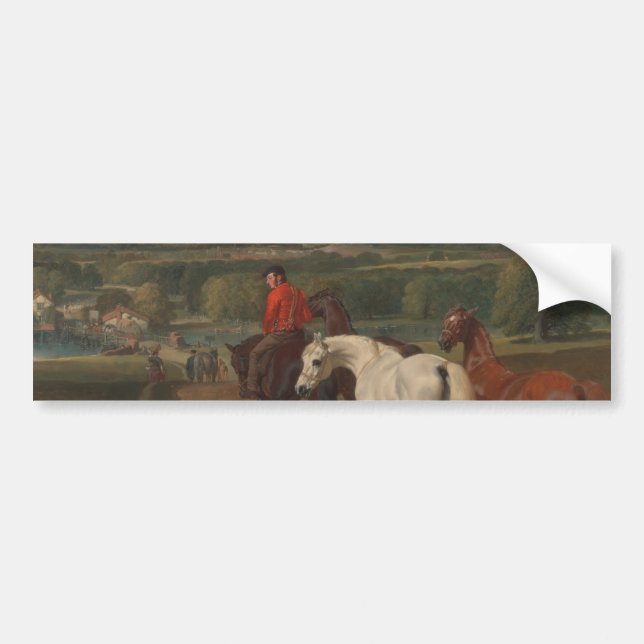 Exercising the Royal Horses (Equine Art) Bumper Sticker (Front)