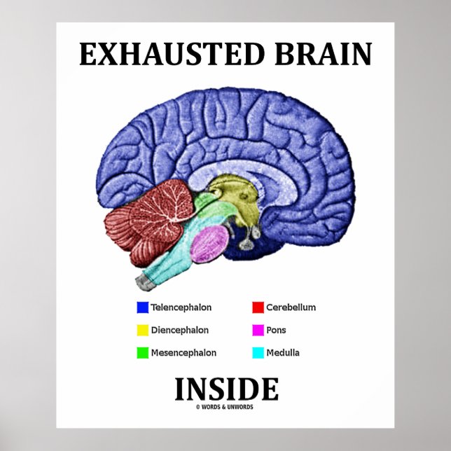 Exhausted Brain Inside (Anatomical Brain Humour) Poster (Front)
