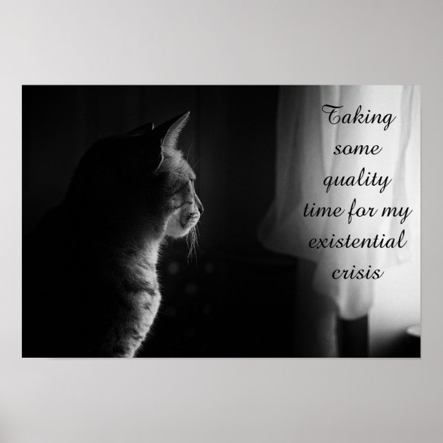 Existential Crisis Funny Cat Poster (Front)