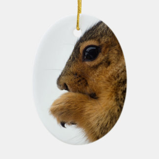 Existential Squirrel Ceramic Tree Decoration