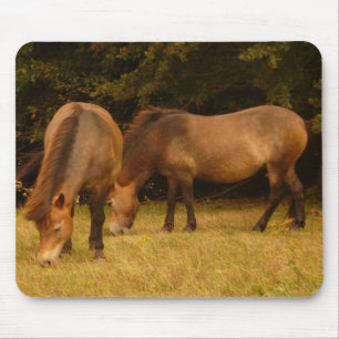Exmoor Ponies Mousepad