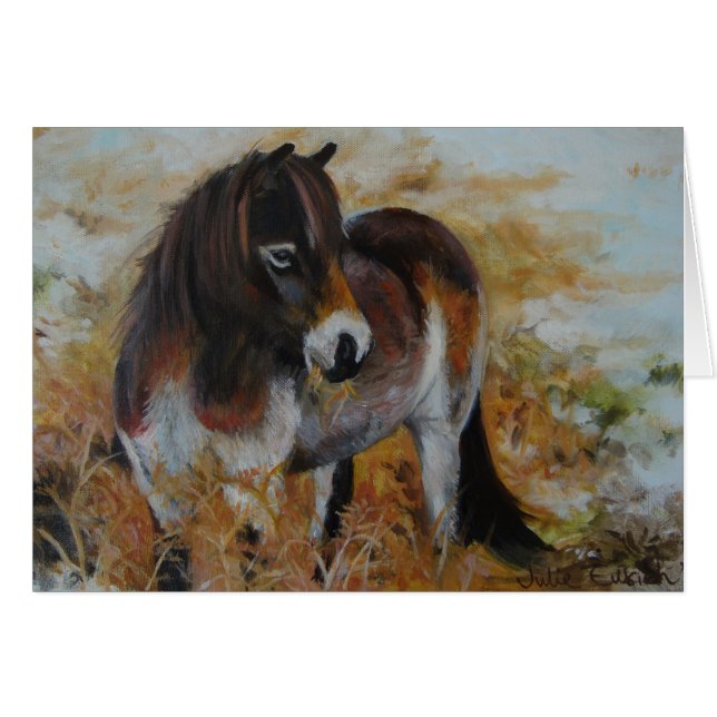 Exmoor Pony (Front Horizontal)