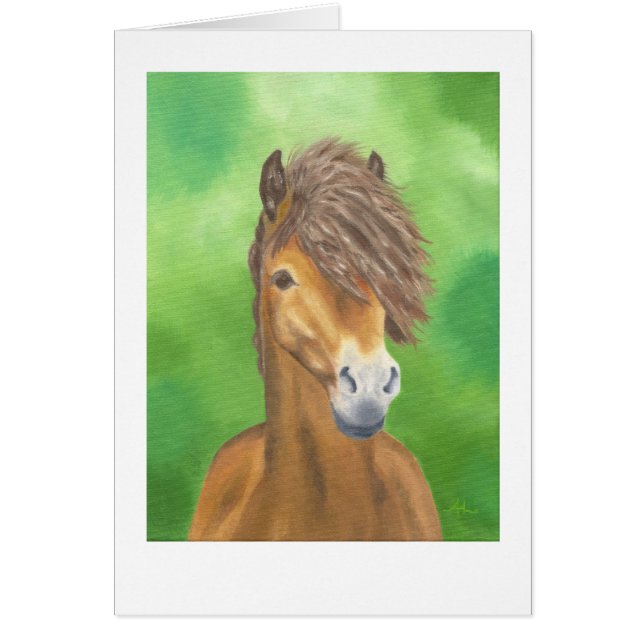 Exmoor pony card (Front)