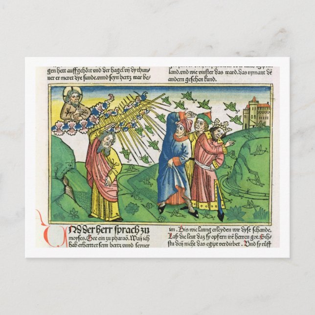 Exodus 10:1-20 The Seven Plagues of Egypt: the pla Postcard (Front)