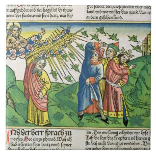 Exodus 10:1-20 The Seven Plagues of Egypt: the pla Tile